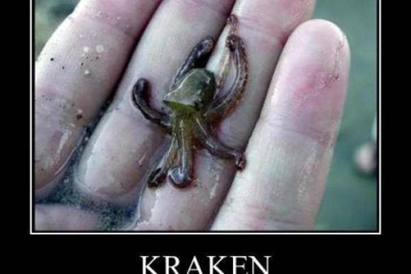 Kraken как найти ссылку