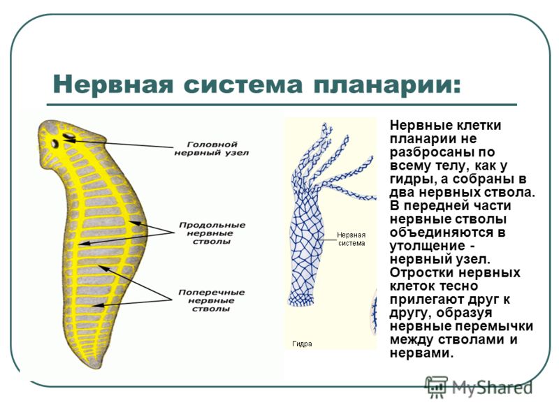 Как зарегистрироваться на сайте кракен