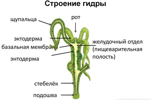 Как зайти в кракен