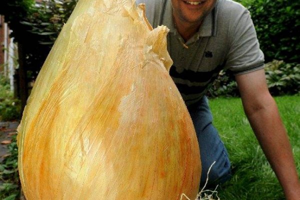 Kraken ссылка onion 2kmp