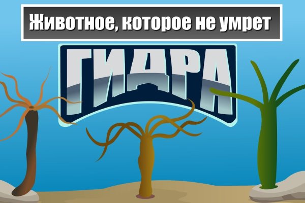 Кракен ссылка настоящая