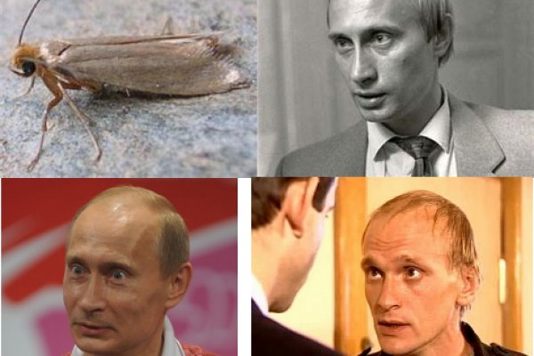 Кракен купить наркоту