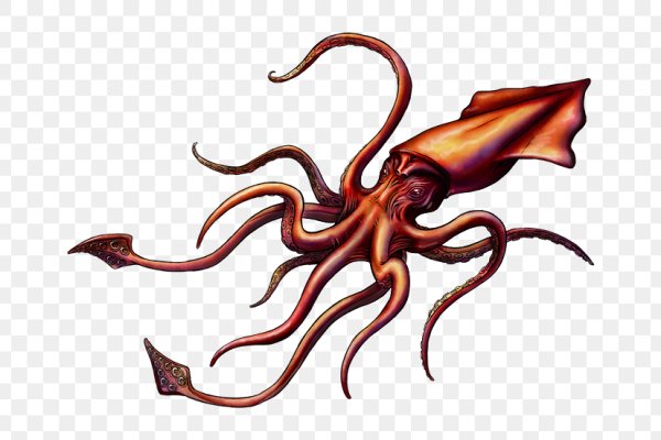 Kraken 26at