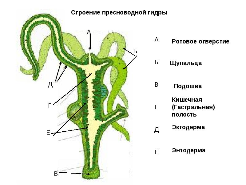 Кракен даркнет маркет