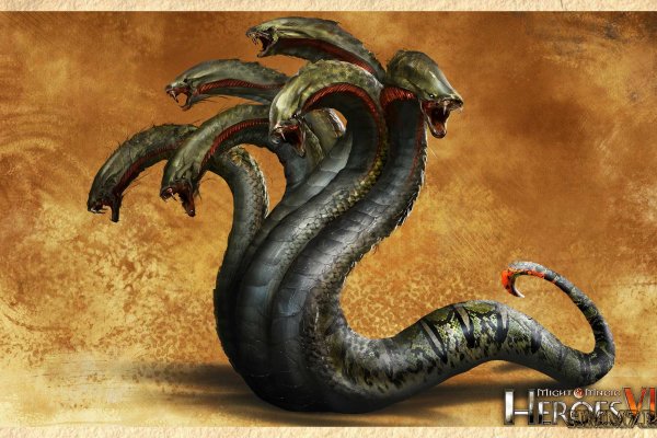 Kraken настоящая ссылка
