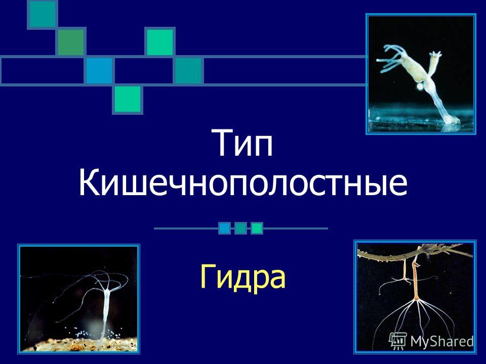 Кракен сайт 2krnk cc